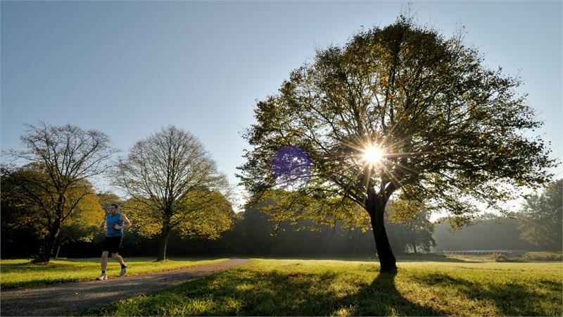 Amsterdamse Bos – Nature’s Finest: Discover Amsterdam’s Captivating Forest
